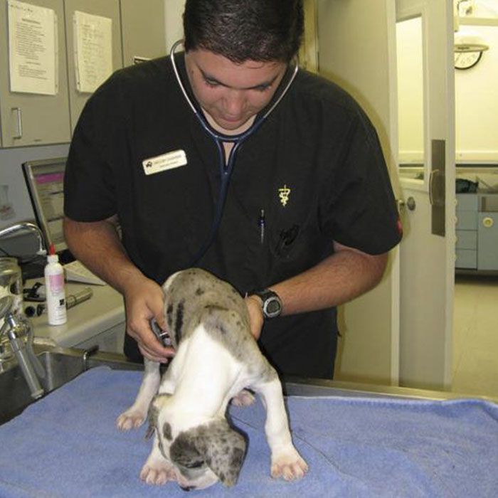 Expert & Friendly Medical Services
Image